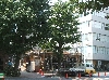 DSCF2335.JPG