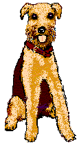 看板犬のルパン君です。