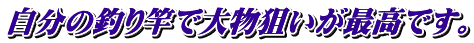 自分の釣り竿で大物狙いが最高です。
