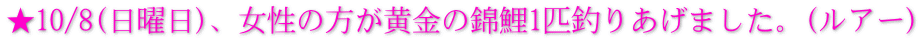 ★10/8(日曜日)、女性の方が黄金の錦鯉1匹釣りあげました。(ルアー)