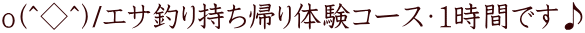 o(^◇^)/エサ釣り持ち帰り体験コース・1時間です♪