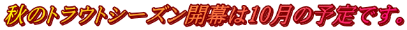 秋のトラウトシーズン開幕は10月の予定です。