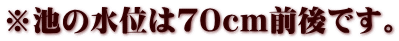 ※池の水位は７０ｃｍ前後です。