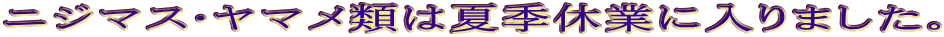 ニジマス・ヤマメ類は夏季休業に入りました。