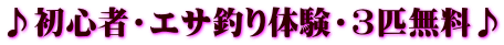 ♪初心者・エサ釣り体験・3匹無料♪