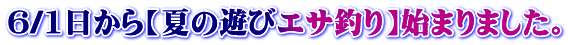 6/1日から【夏の遊びエサ釣り】始まりました。