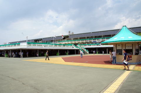 地方競馬共有馬主クラブ ビッグダディオーナーズクラブ 園田競馬場 地方競馬共有馬主クラブ ビッグダディオーナーズクラブ 園田競馬場