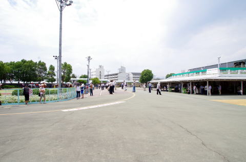 地方競馬共有馬主クラブ ビッグダディオーナーズクラブ 園田競馬場 地方競馬共有馬主クラブ ビッグダディオーナーズクラブ 園田競馬場