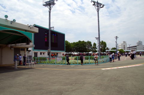 地方競馬共有馬主クラブ ビッグダディオーナーズクラブ 園田競馬場 地方競馬共有馬主クラブ ビッグダディオーナーズクラブ 園田競馬場