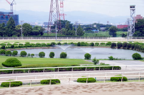 地方競馬共有馬主クラブ ビッグダディオーナーズクラブ 園田競馬場 地方競馬共有馬主クラブ ビッグダディオーナーズクラブ 園田競馬場