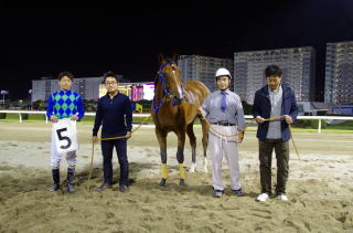 地方競馬共有馬主クラブ ビッグダディオーナーズクラブ ルミナスコマンダー