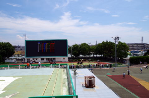 地方競馬共有馬主クラブ ビッグダディオーナーズクラブ 園田競馬場 地方競馬共有馬主クラブ ビッグダディオーナーズクラブ 園田競馬場