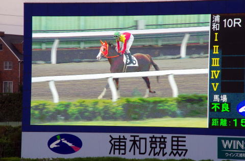 地方競馬共有馬主ビッグダディオーナーズクラブ「ビクトリービジョン」