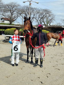 地方競馬共有馬主クラブ ビッグダディオーナーズクラブ 「ミラクルストーリー」