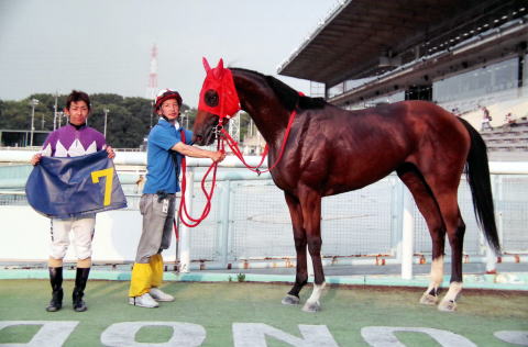 地方競馬共有馬主クラブ ビッグダディオーナーズクラブ クイーンオブスカイ