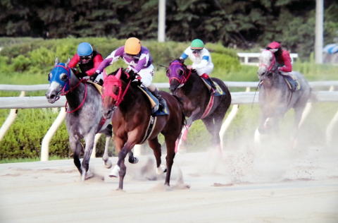 地方競馬共有馬主クラブ ビッグダディオーナーズクラブ クイーンオブスカイ