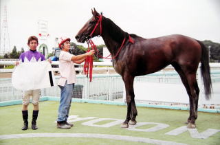 地方競馬共有馬主クラブ ビッグダディオーナーズクラブ キングタイド
