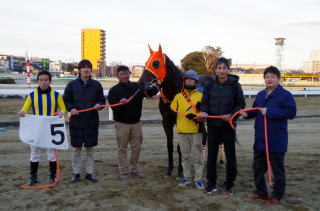 地方競馬共有馬主クラブ ビッグダディオーナーズクラブ デスティネイション