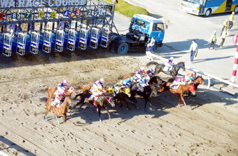 地方競馬共有馬主ビッグダディオーナーズクラブ「浦和競馬場」スタート