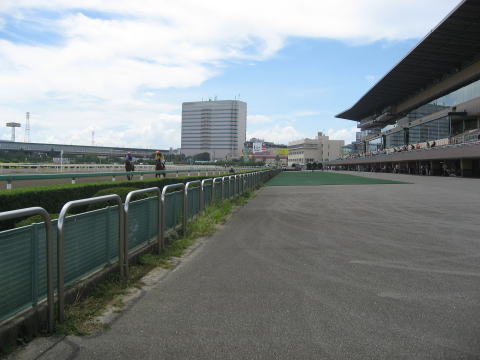 地方競馬共有馬主クラブ ビッグダディオーナーズクラブ 船橋競馬場 地方競馬共有馬主クラブ ビッグダディオーナーズクラブ 船橋競馬場