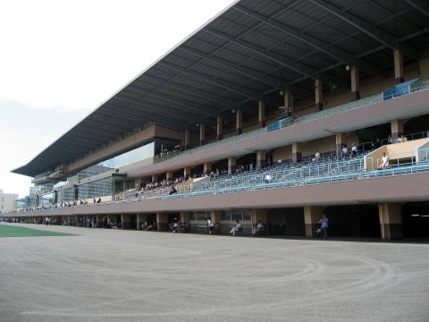 地方競馬共有馬主クラブ ビッグダディオーナーズクラブ 船橋競馬場 地方競馬共有馬主クラブ ビッグダディオーナーズクラブ 船橋競馬場