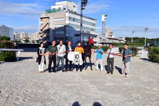 地方競馬共有馬主クラブ ビッグダディオーナーズクラブ 「マイフェアレディ」