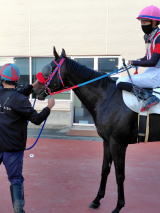 地方競馬共有馬主クラブ ビッグダディオーナーズクラブ 「ドレイク」