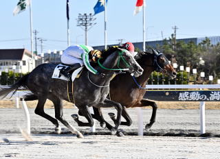 地方競馬共有馬主クラブ ビッグダディオーナーズクラブ 「エヴィエニス」
