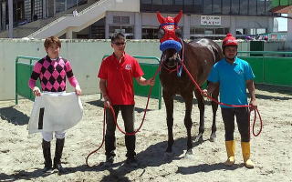 地方競馬共有馬主クラブ ビッグダディオーナーズクラブ 「ツワモノ」