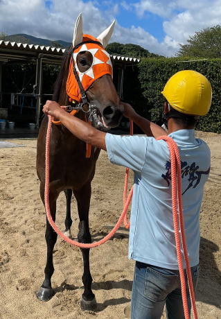 地方競馬共有馬主クラブ ビッグダディオーナーズクラブ 「ヨーソロー」の優勝写真