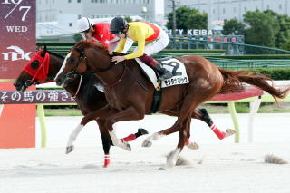 地方競馬共有馬主クラブ 「ビッグダディオーナーズクラブ」 モンタナマジック