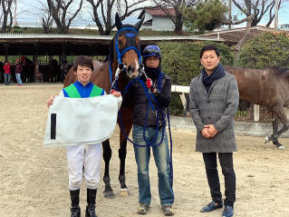 地方競馬共有馬主クラブ ビッグダディオーナーズクラブ テリングブロウ