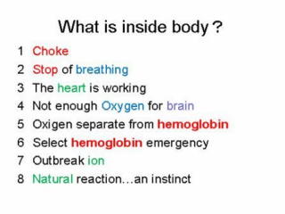 30 inside body
