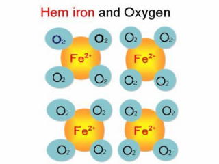 32 hemiron and oxygen