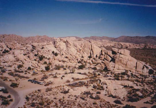 Joshua Tree (1985)