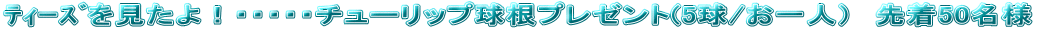 è��ނ�������I�E�E�E�E�E�`���[���b�v�����v���[���g(5��/����l�j�@�撅50���l