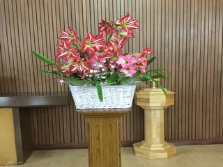 hana0506
