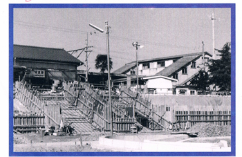 �p�L�O�s���M�������[�O�ɗ��Љ�҂̎ʐ^