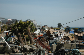 �͌��q�C��