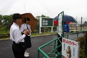 ���������w