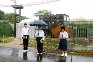 ���݂˓�����