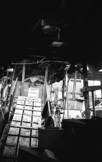 koyasu