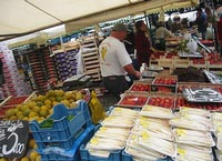 photo46.jpg