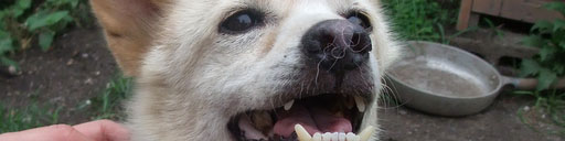 DSCF1085.jpg