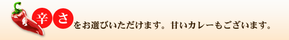 辛さをお選びいただけます。甘いカレーもございます。
