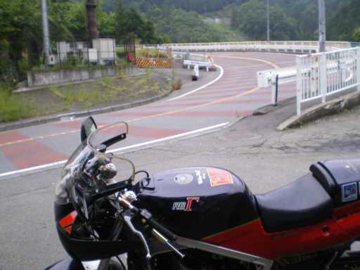 darumi