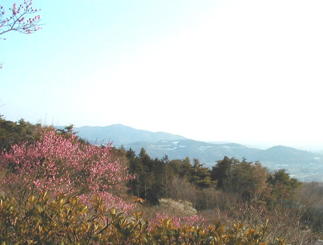 View from Mt. Tsukuba