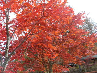 【引取先が決まりました】格安物件でも動作可能！　レッツ４FI 早い者勝ち！！ 引取先が決まりました】格安物件でも動作OK レッツ4FI すぐ乗れます