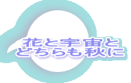 花と宇宙と どちらも秋に 