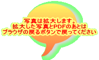 写真は拡大します。 拡大した写真とPDFのあとは ブラウザの戻るボタンで戻ってください